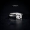 Omnia Maisha Round Cut Ring in 92.5 Silver with High Quality Moissanite Stone - Image 5