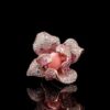 Omnia Pink Orchid Ring in 92.5 Silver with High Quality Simulated Diamonds and Pink Stone Center - Image 3