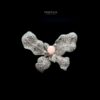 Omnia Ava Butterfly Brooch in 92.5 Silver with High Quality Simulated Diamonds