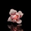 Omnia Pink Orchid Ring in 92.5 Silver with High Quality Simulated Diamonds and Pink Stone Center