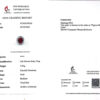 Omnia Ibtisam Red Ring 92.5 Silver Certified in High Quality Lab Grown Ruby Stone - Image 4