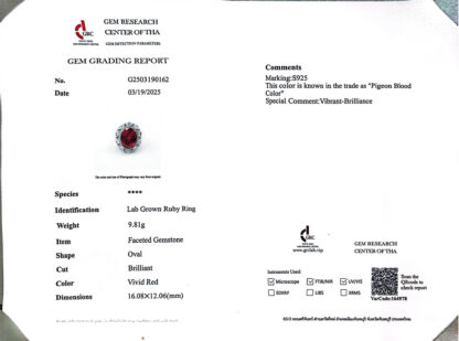 Omnia Ibtisam Red Ring 92.5 Silver Certified in High Quality Lab Grown Ruby Stone - Image 4